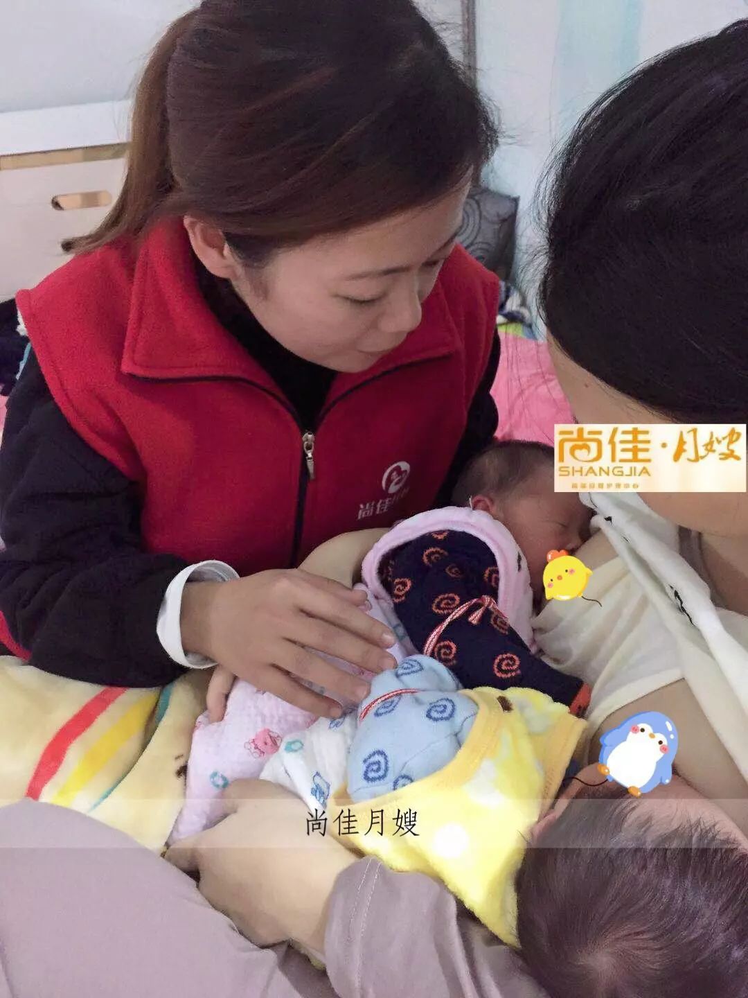 尚佳專業(yè)月嫂丨初生嬰兒需要吃多少？